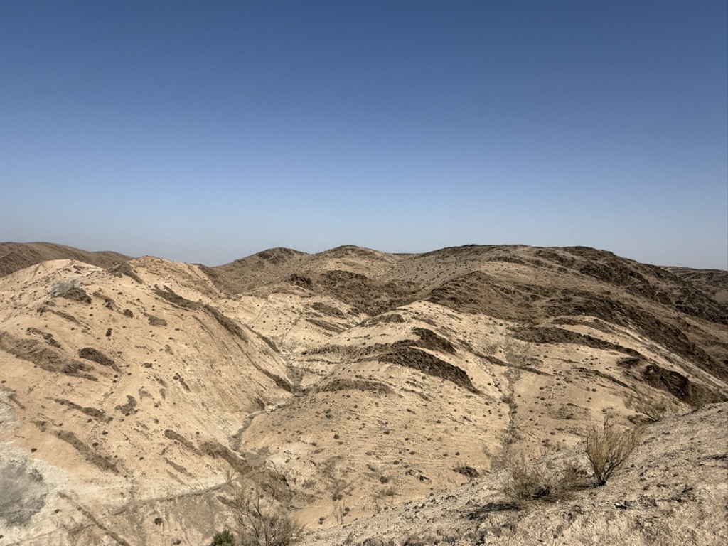Excursion en Quad et Buggy