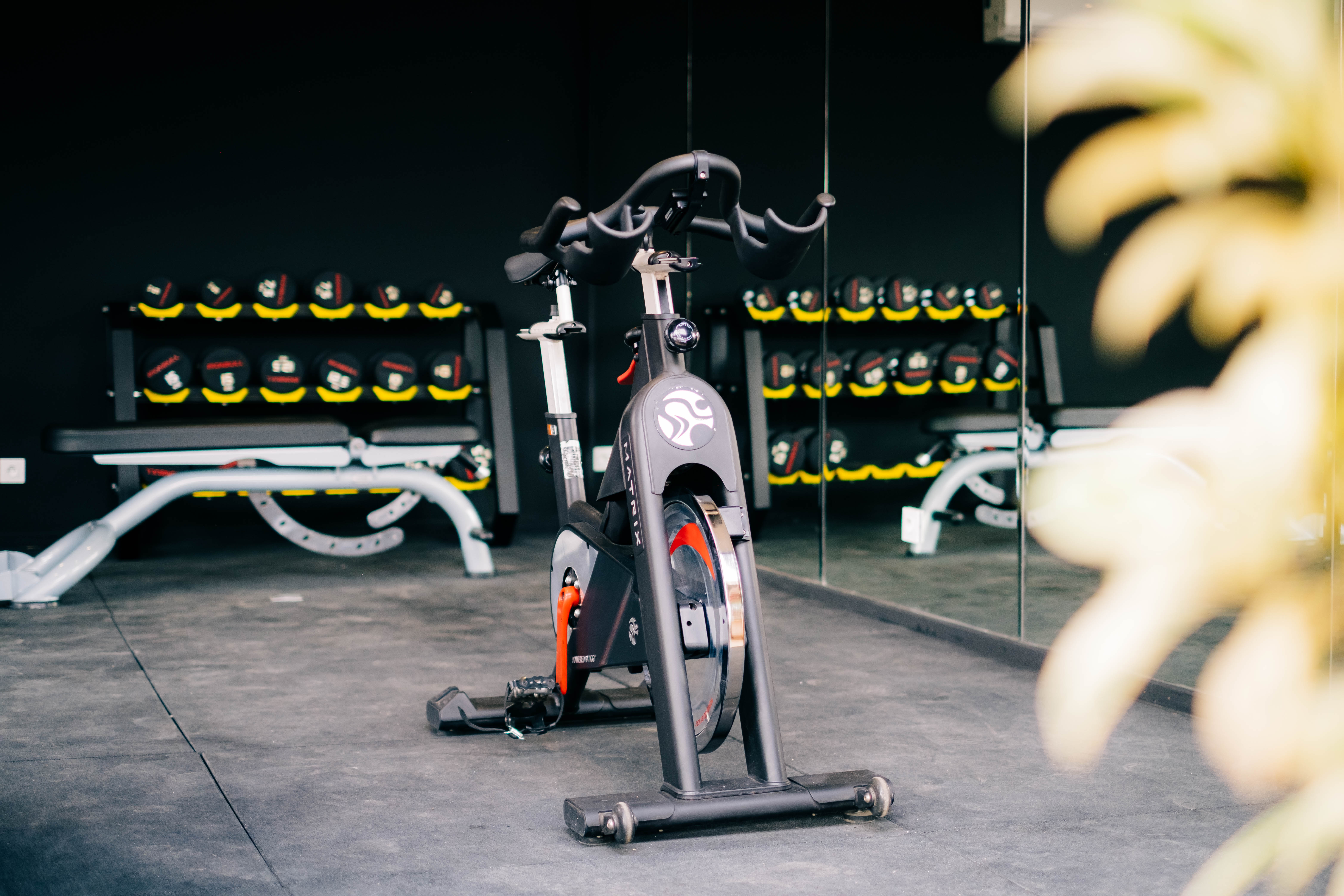 Cozy and sophisticated speakeasy bar with dark wood paneling, leather armchairs, a glowing bar with premium spirits, and intimate lighting, classic style